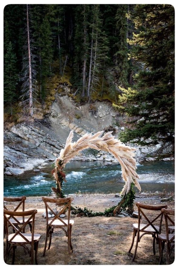 Arche mariage branche de Pampa
